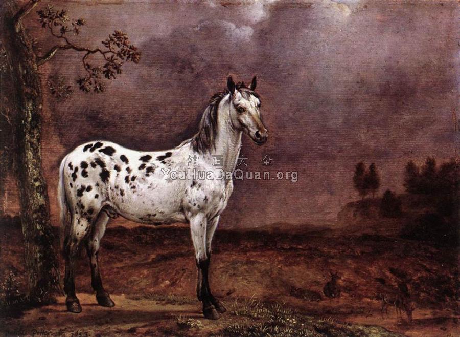 The Spotted Horse - 派勒斯·波特